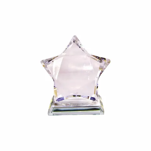 P364 Kristal Cam Plaket