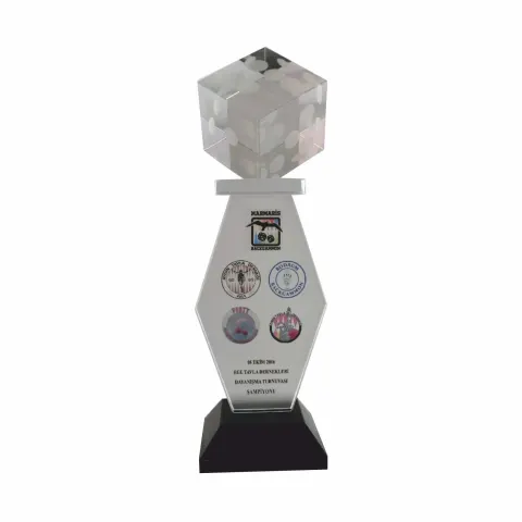 P387 Kristal Cam Plaket
